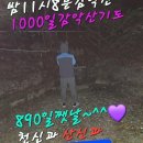 신의손 | 양주점집 연향암신의손옥부인 방문 후기, 마음까지 든든해지는 신통한 상담 경험담이예요!