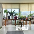 동산비사벌 이미지