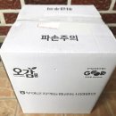 농협몰_카카오페이 | 2026 여름맞이 첫 수박 성공! 농협몰 배송 상태와 굿뜨래 수박 보관법 공유 내돈내산