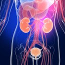 길맨비뇨기과의원 | “대전 남성수술, 이것만 알면 걱정 끝! 수술 전 반드시 확인해야 할 7가지”