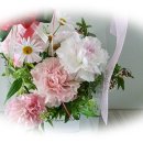 성주제일병원 이미지