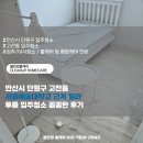 클린업크리닝 | 안산시 단원구 고잔동 서울예술대학교 근처 빌라 투룸 입주청소 꼼꼼한 후기