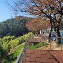 수목원파크 이미지