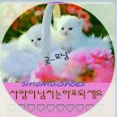 해피데이 이미지