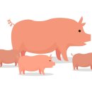 강원도동물위생시험소 이미지