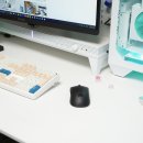 마린팜 | 마우스패드 추천, 펠로우즈 브레이타 팜레스트 마우스 패드 세트