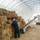 볏짚농장 이미지