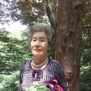 제화목장 Daum카페