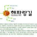 다무포간이해수욕장 이미지