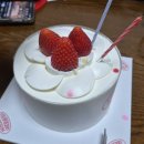 파리바게뜨춘천장학점 이미지