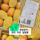 참달