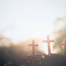 생명의 그물 2 이미지