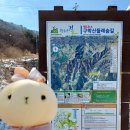 원주굽이길 원2코스 구학산둘레숲길 이미지