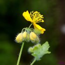 풍경(오월의 이야기 이미지