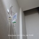 연세남부내과의원 이미지