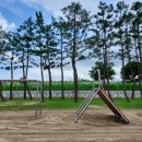 강현초등학교 이미지