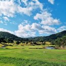 파인힐스 이미지