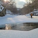 ‘설국’ 노루 발자국 따라 걷다 이미지