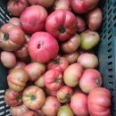 대저토마토(찰토마토) 이미지