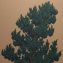 반포미도1차 이미지