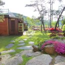 소나무풍경펜션 이미지