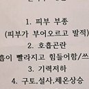 몽마르뜨 동물병원 이미지