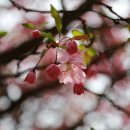 은파호수공원 9-6 이미지