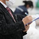 BICHON KOREA 이미지