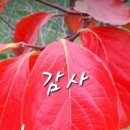 아름다운머리이야기 네이버블로그