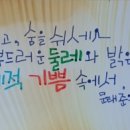 입체적기쁨 이미지