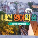 [해외취업] 미국 취업의 특징과 비자 종류, 고용제도 한눈에 알아보기
