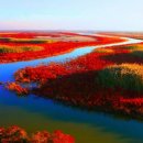 제이에스투어 이미지