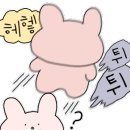 독점숯불닭갈비