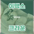 덴트리온 이미지