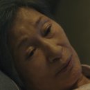 외대갈매기 이미지
