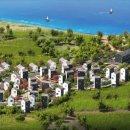 제주하도 이미지