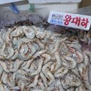 안면도 백사장 대하축제 2019 네이버블로그