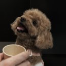 늘방앗간 이미지