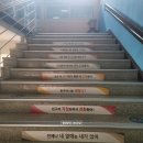 대구고매초등학교 이미지