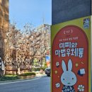 [서울 인사동 전시] 미피와 마법 우체통📮 / 미피의 70번째 생일을 축하해🧡