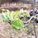 아리숲펜션 이미지