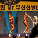 미스터부