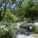 하늘마루 이미지