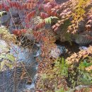 소문난 멸치국수 이미지