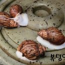 요골농장 네이버블로그
