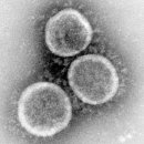 변이(미디어) 이미지