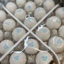 청라 마이짐 이미지