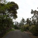 토산초등학교 병설유치원 이미지