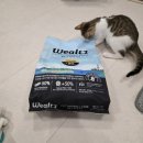 (주)슈퍼캣 | 웰츠 캣 헤어볼케어 고양이사료 프리미엄생육사료 체험단 후기