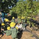 준혁농장 이미지